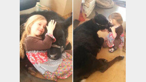 [영상] 5살 소녀와 송아지의 우정, 천진난만한 표정 “사랑스러워”