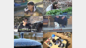 여행·음식·게스트…‘삼시세끼’를 띄운 세가지