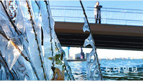 얼어붙은 한강 고드름