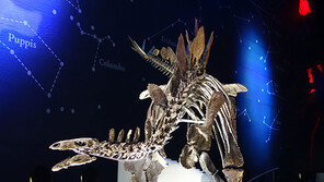 가장 완벽하게 복원된 공룡, 머리는 공룡 가운데 가장 나쁠 것으로 추정