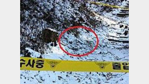 머리·팔 없는 상반신 비닐봉지에 담아 등산로에...