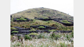혼례 치른 제주 며느리, 시가에서 토지-가축 상속 받았다
