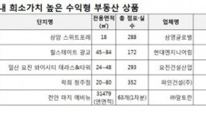 수익형 부동산 ‘튀어야 돈이 보인다’