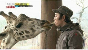 아프리카 기린 멸종 위기…15년 동안 40% 줄어…‘8만 마리 생존’