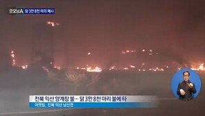 익산 양계장 화재 발생, 닭 3만 8천 마리 폐사
