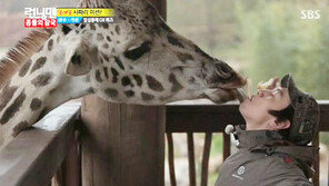 아프리카 기린 멸종 위기, 15년 동안 개체수 40% 급감… 이유는?