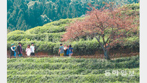 전남 보성 규모 3.3 지진, 전남에서만 올해 4번 째 지진 발생