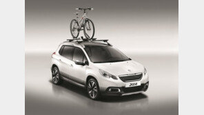 푸조, 겨울 레저 활동 위한 ‘캐리어 & 러기지 패키지’ 출시