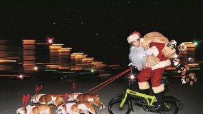 BMW, 미니 고객 대상 겨울철 차량 무상 점검 제공