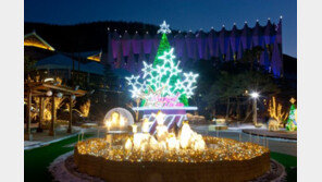 하이원 리조트, ‘매직 드림’ 테마 겨울 조형물 공개