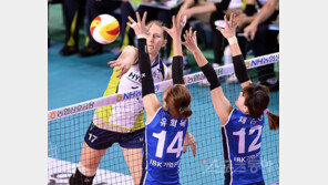 폴리 원맨쇼…현대건설 6연승