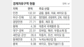 “한국 경제자유구역 성공하려면 파격적 규제완화 시험대 삼아야”
