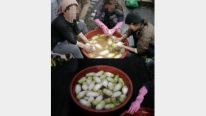 이효리 김장 사진 공개, 유기농 콩 사건 소식도 전해 “이번 일로…”