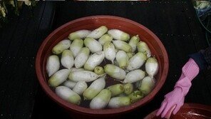 이효리, 이웃들과 김장하는 근황 공개…유기농 콩 표기 논란은 어떻게 됐나?