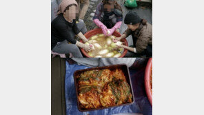 “섹시 아이콘 맞아?”… 이효리, 동네 주민들과 김장 ‘눈길’