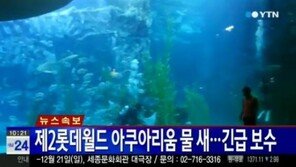 롯데월드 수족관 수중 터널 구간서 누수 발생, ‘긴급 보수’ 돌입