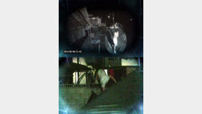 여성 속옷 훔치고 속옷차림 배회…‘변태 남편’의 비밀