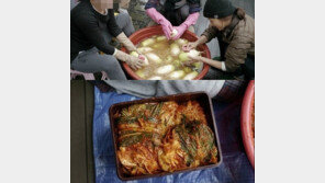 이효리, 김장 사진 블로그 통해 공개… 수준급 실력 ‘눈길’