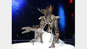 영국, 스테고사우루스 완벽 복원… “존재하는 공룡 화석 중 가장 완벽”
