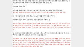 대한항공 조종사 노조 “기장이 하기 조치? 웃기고 있네” 조현아 정면 반박