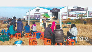 [인천/경기]로컬푸드 직거래 매장 확산… 지역축제도 한몫