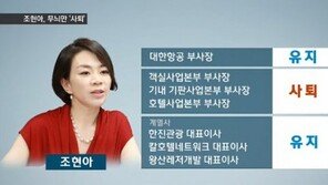 ‘땅콩 리턴’ 조현아 보직 사퇴…알고 보니 ‘무늬만 사퇴’? 