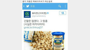 "긴 말 안한다. 그 땅콩이다" 땅콩리턴 조현아 겨냥한 마케팅까지...