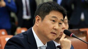 음란물 차단 못해 ‘아청법 위반 혐의’…이석우 다음카카오 대표 소환