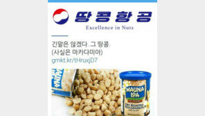 조현아 땅콩리턴 비꼬는 패러디-게임-마케팅 까지...갈수록 난국