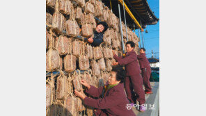 [광주/전남]강진 전통된장마을의 ‘메주 매달기’