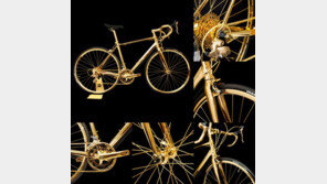 순금 입힌 자전거, 슈퍼카보다 가격은 더 비싸지만 속도는…