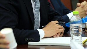 다음카카오 이석우 대표 소환, 아동청소년성보호법 위반 혐의