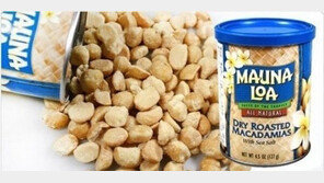 ‘땅콩리턴’ 조현아 논란, 마카다미아만 웃었다?…판매량 무려 149% 증가