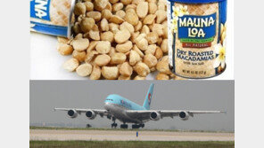 ‘땅콩리턴’ 조현아 논란에 마카다미아 인기 ‘급등’…검찰, 대한항공 압수수색