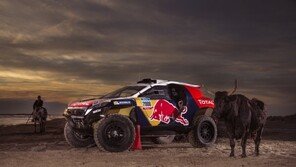 푸조 모터스포츠 팀, 2008 DKR과 함께 다카르 랠리 출격