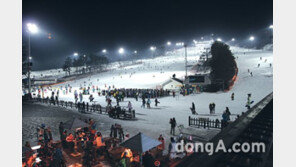 지산리조트, 12일부터 14/15시즌 심야스키 오픈