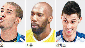 밖에선 몰라도… 한국에선 레오