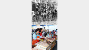 [책의 향기]곰장어-명태에 얽힌 ‘슬픈 사연’ 아시나요