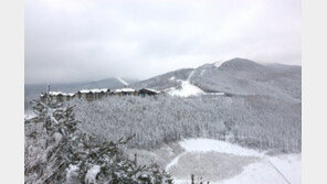 하이원, 투숙객 대상 홍콩 마카오 여행 이벤트