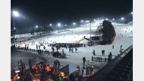 지산리조트 심야 슬로프 운영 개시