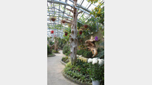 세종 베어트리파크 만경비원 무료 개방