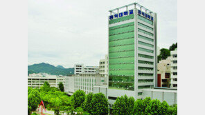 [2015 대학가는길]홍익대, 서울 1130명-세종 619명… 미술계열, 캠퍼스 간 복수지원 가능