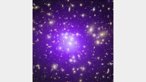 암흑물질 신호 발견, 이론으로만 존재했는데…‘우주비밀 실마리 푼다’