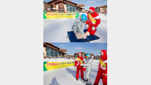 하이원 리조트 2월까지 세이프 스키 스쿨 운영