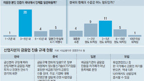 [단독]IT업체에 금융업 진출 허용 검토 