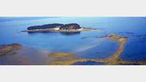 [대전/충남]무창포 신비의 바닷길, 크리스마스께 절정