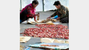 [광주/전남]“엿기름 빻아 식혜 만들까”