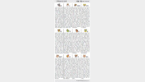 [오늘의 운세/12월15일]주역으로 본 운세 