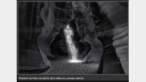 세계서 가장 비싼 사진 ‘팬텀’, 낙찰가 71억 3310만 원