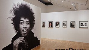 [라메드] 린다 매카트니 사진전 “생애 가장 따뜻한 날들의 기록”